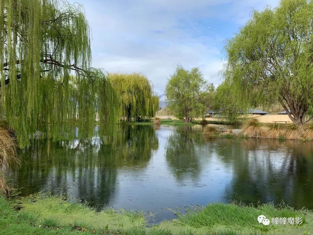 新西兰见闻录100,新西兰生活见闻