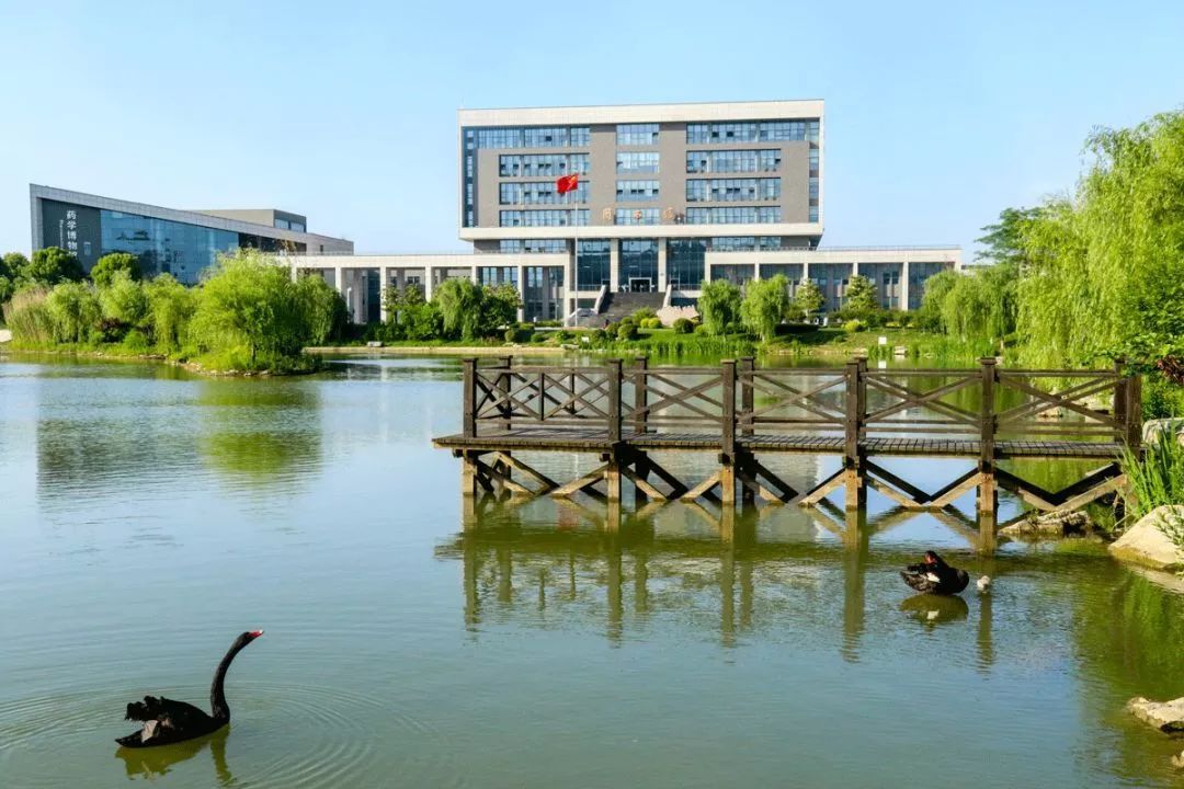 药学两院三系专家,中国医科大学药学实力排行榜