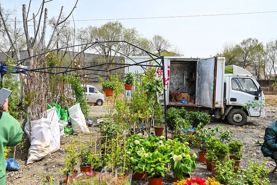 北京京郊大集地理位置,今天京郊哪有大集