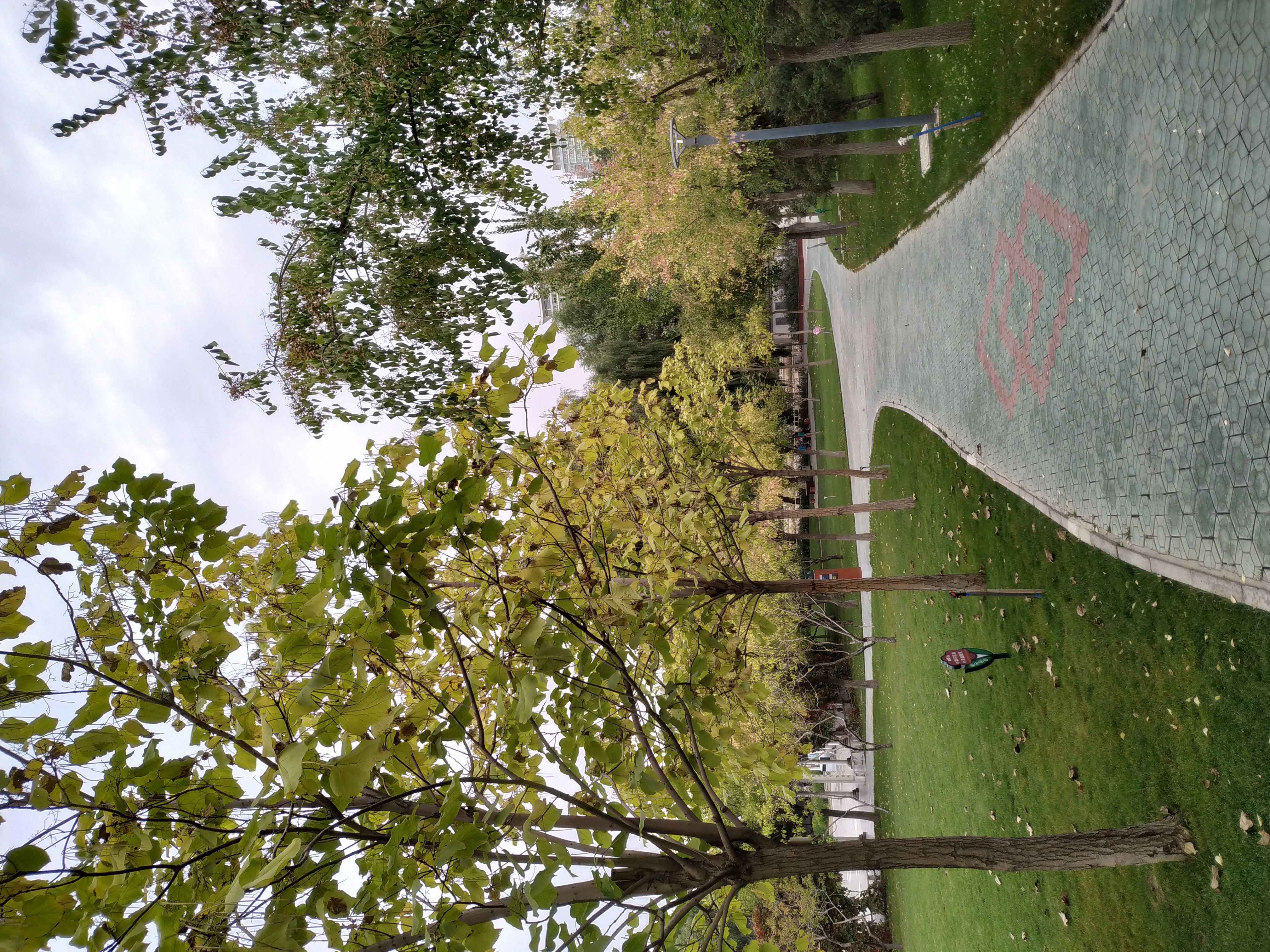 七里河百合公园地址,七里河旁边的公园