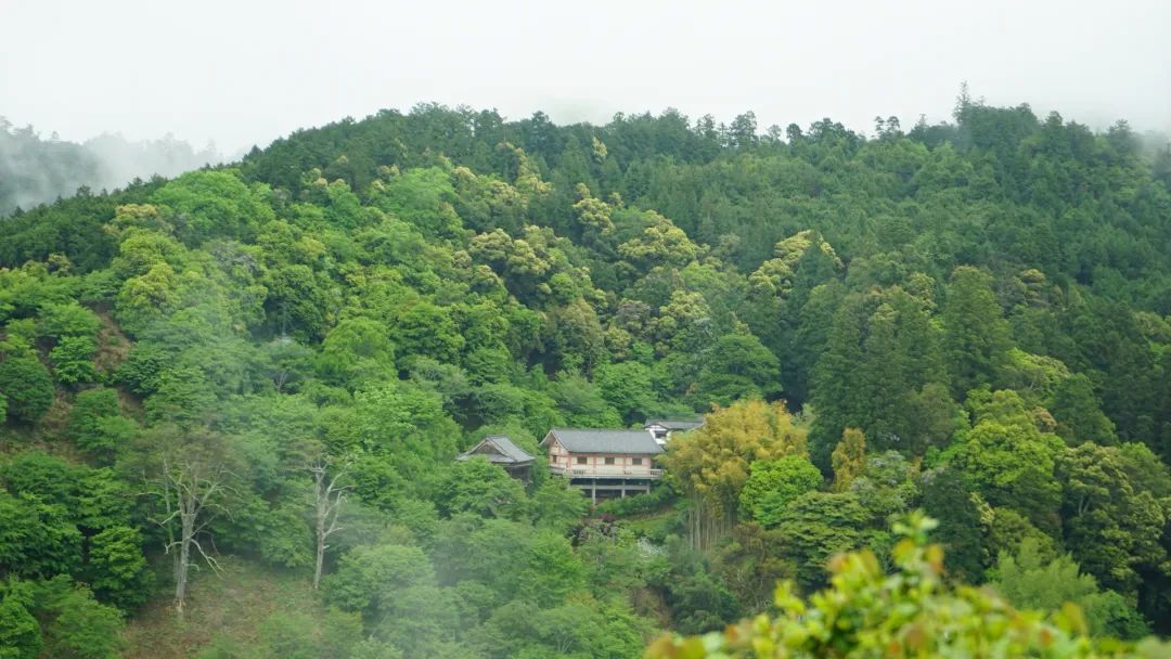 家里蹲不出门的烦恼,家里蹲的日子不好过自娱自乐吧