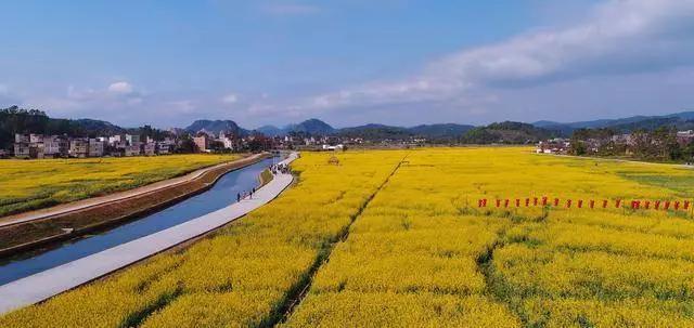 待到春暖花开时与你共赏樱花烂漫,待到春暖花开日便是把酒言欢时