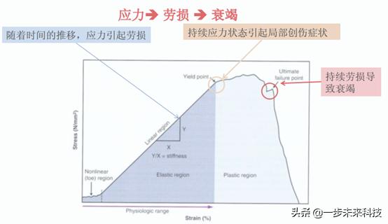 足球黑科技定制鞋垫,生物力学鞋垫价格