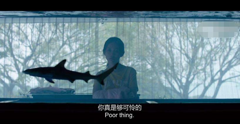 青少年孩子叛逆期怎么沟通,孩子叛逆期怎么沟通可靠大方