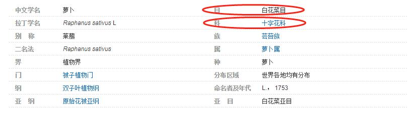美国每年有多少人死于谋杀,美国每年死于事故的人