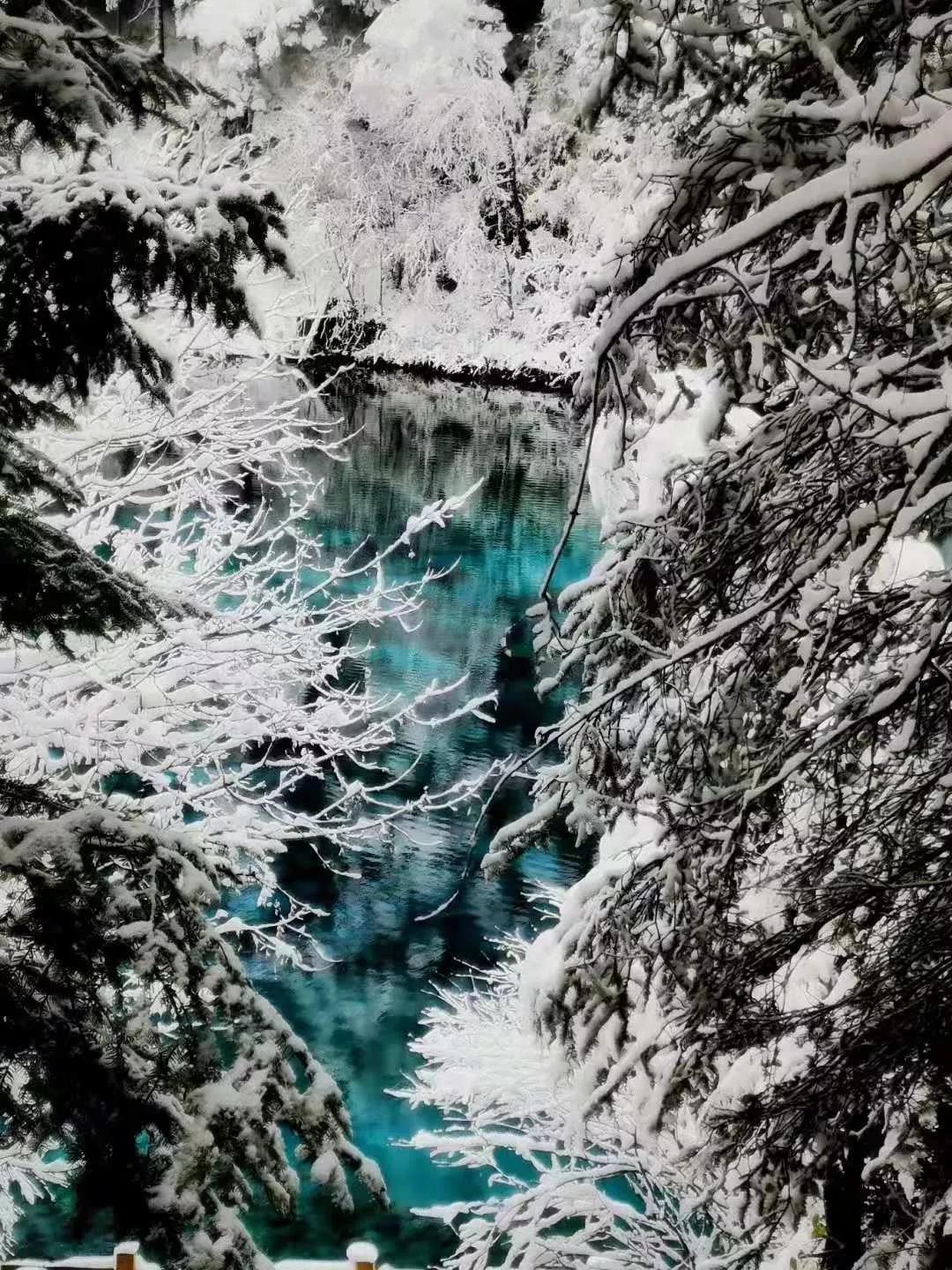 九寨沟旅游如何购票,九寨沟官网购票旅游攻略