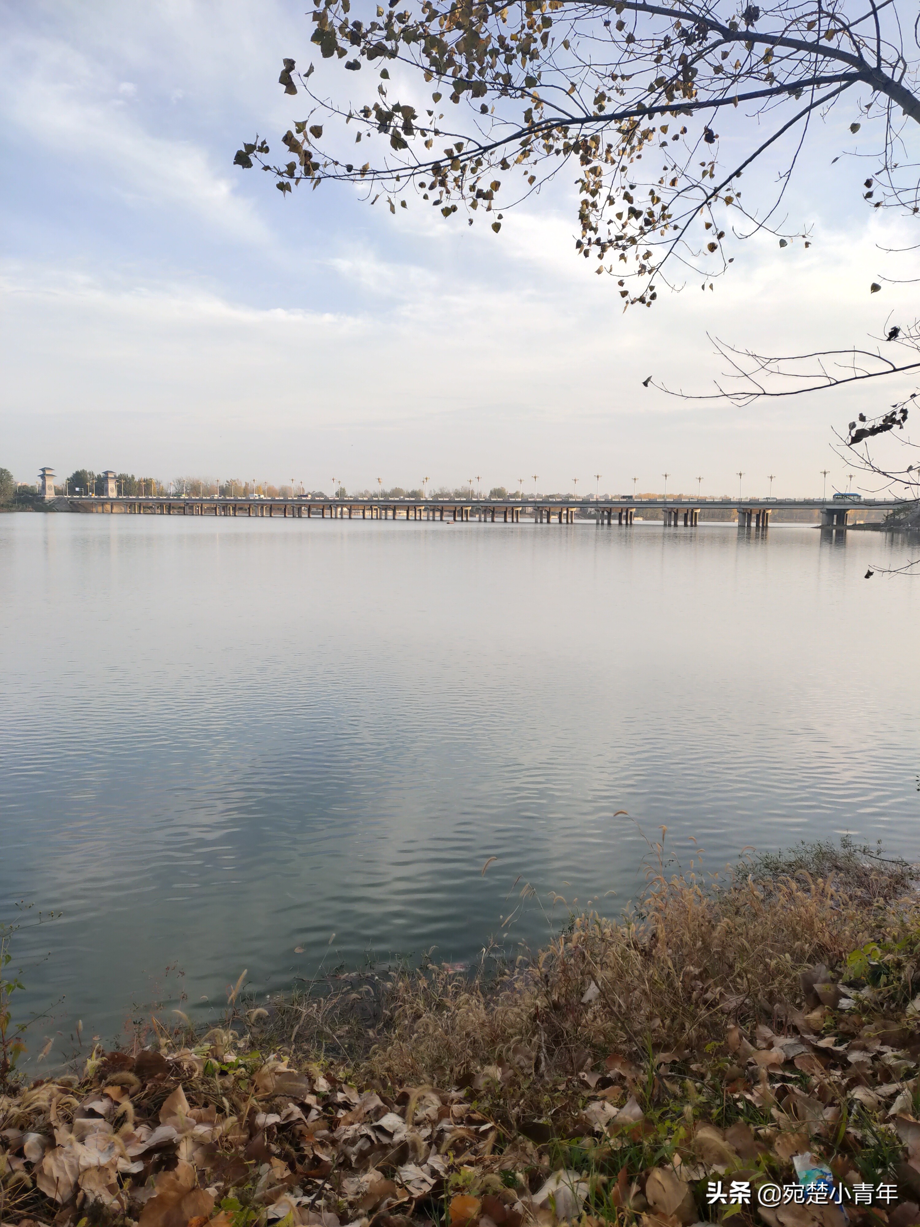 错过遗憾一辈子，大美南阳之秋：黄叶满地天湛蓝