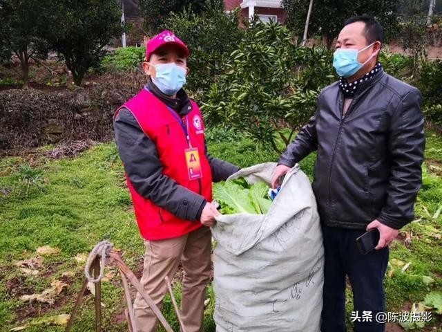 道德模范事迹第七届,宜昌市道德模范致敬晚会