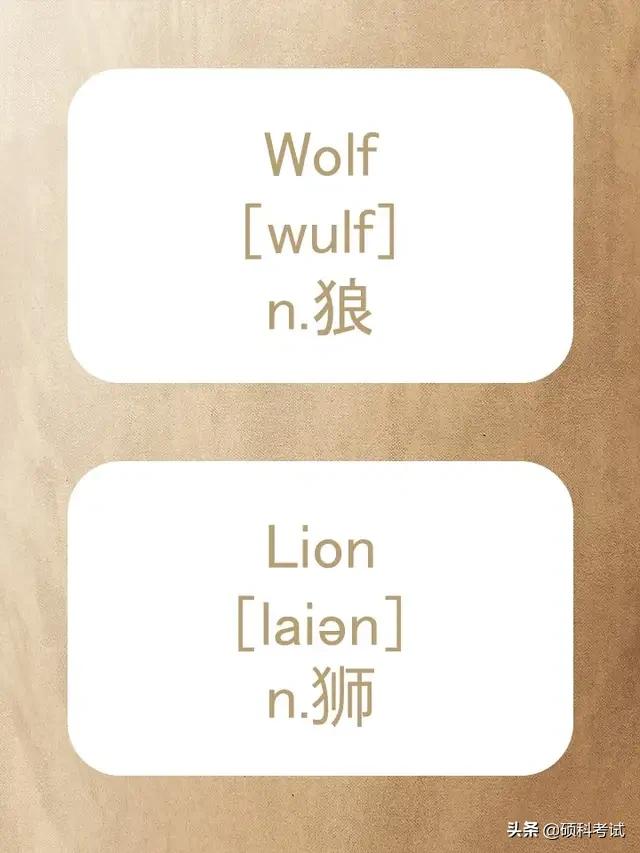 动物的英文拼写及音标,关于动物的单词及音标