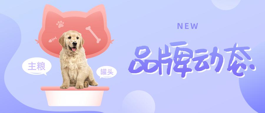 派多格猫罐头,品牌新品动向