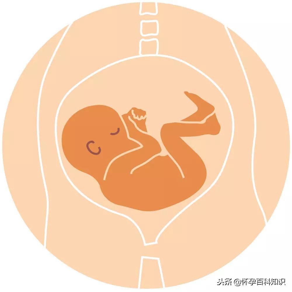 彩超loa代表胎儿的什么意思,彩超lof代表什么