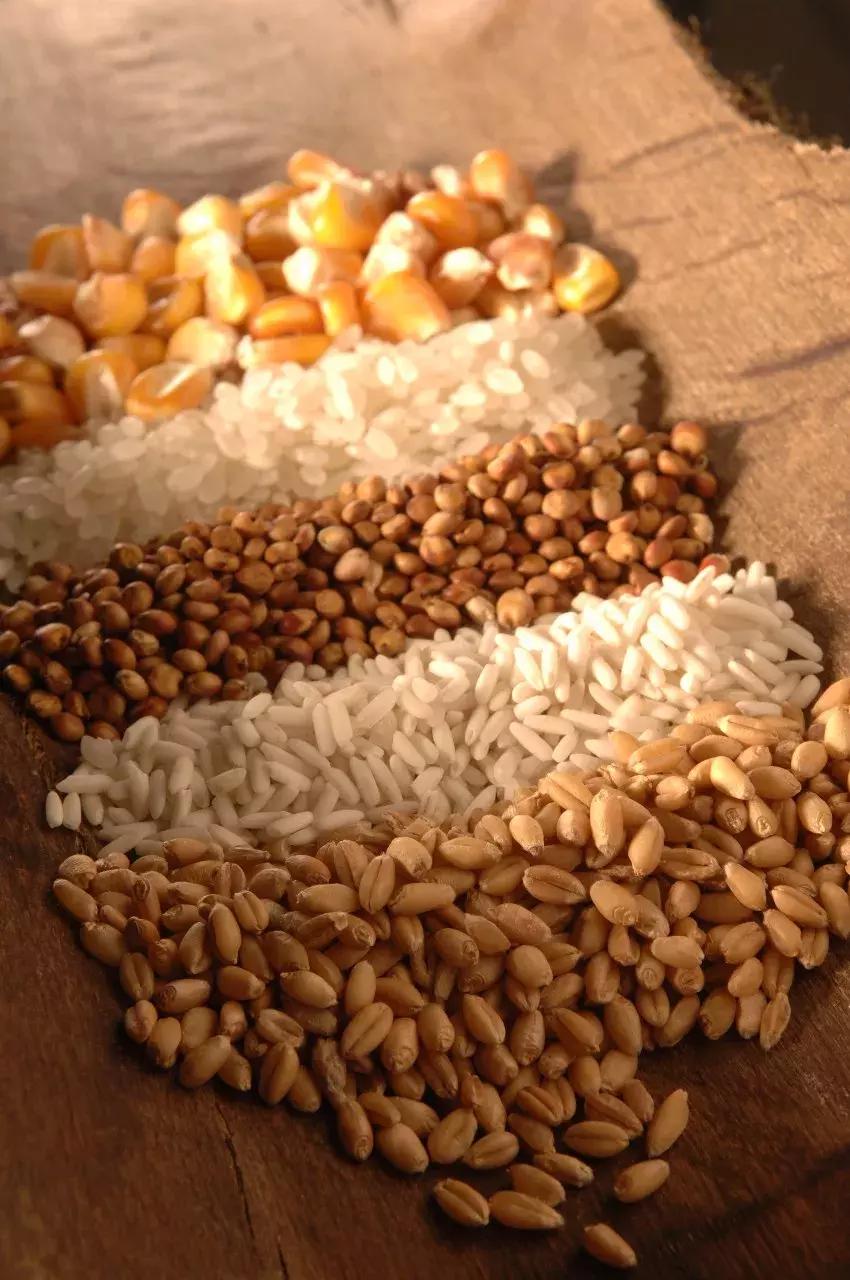 史上最全的酒水分类大全，建议收藏！