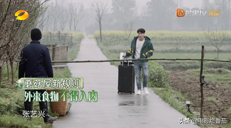 向往的生活2023会完结吗,向往的生活第七季怎么停更了