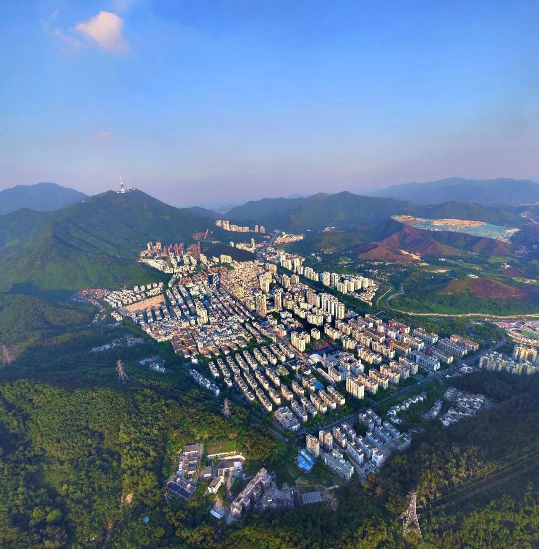 悦赏|这个展览，罗湖人不去看真的会后悔！