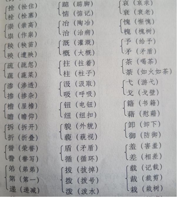 小升初语文知识复习——汉字（二）