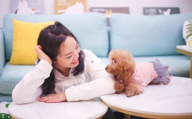 泰迪犬贵不贵好不好养,泰迪越小越值钱吗