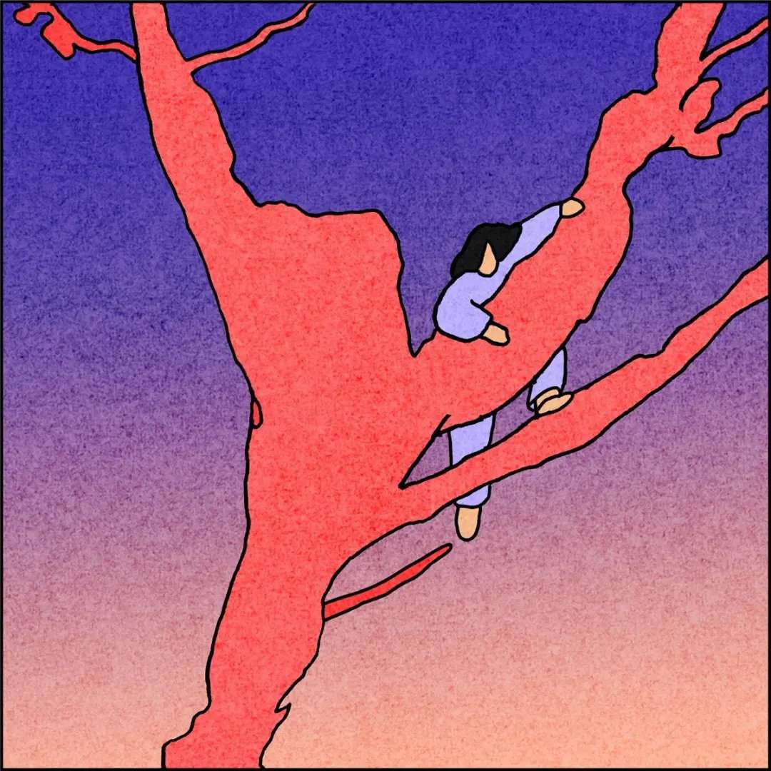 纽约时报去年的文章,纽约时报年度最佳图书