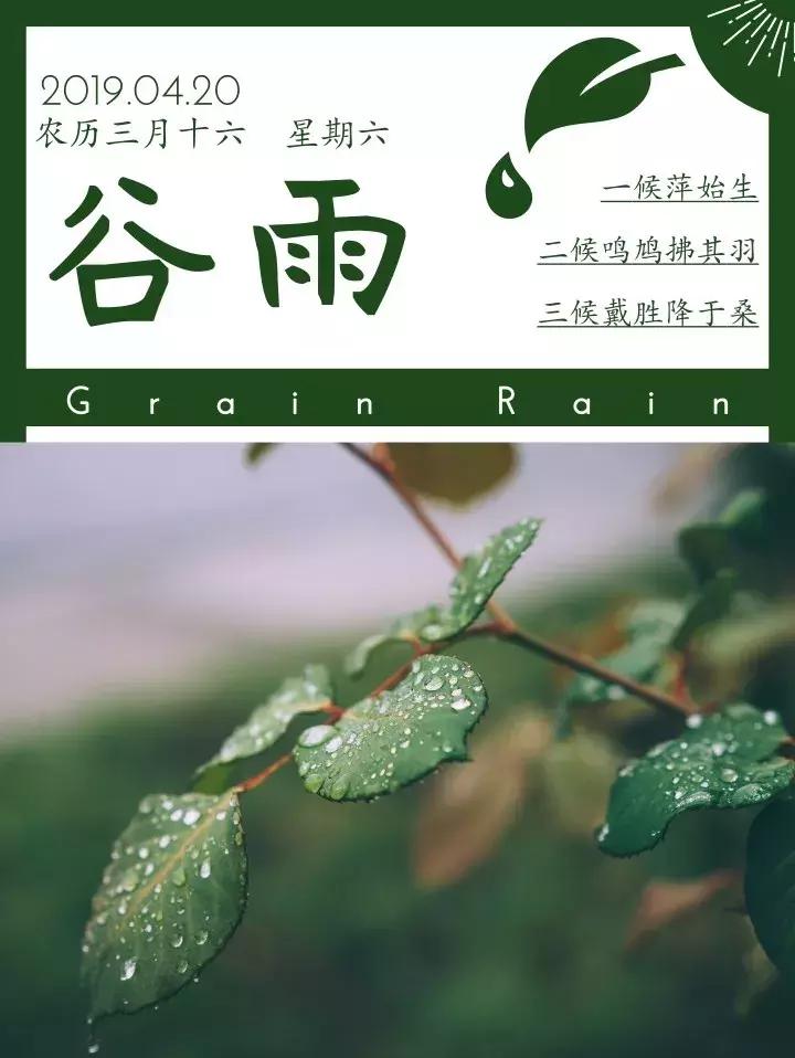 中考真题：谷雨时节“播种”忙，洒下汗水种“希望”