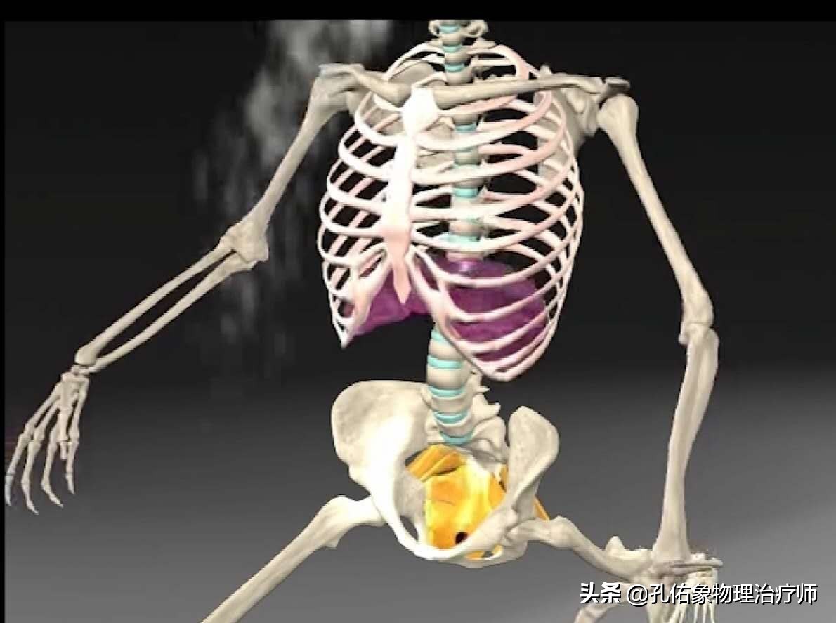 孕妈妈产后为什么会腰痛,产后三个月的宝妈腰酸腰疼咋回事