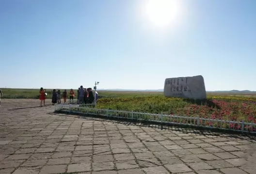 旅行去看草原美景,去草原撒欢视频