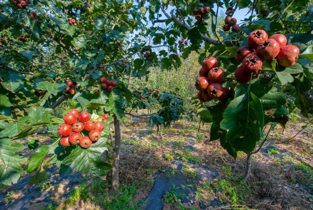 怀柔适合冬天团建的地方,怀柔两日一晚团建的地方