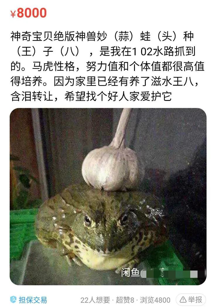 怀疑有人进行非法交易可以报警吗,怀疑有人进行非法交易