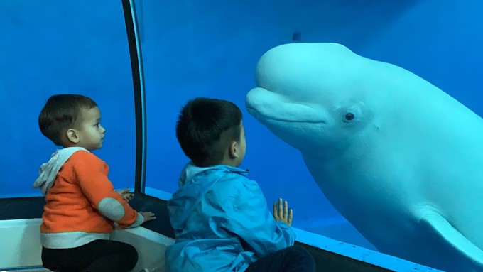 台湾环岛14天,台湾环岛8日游性价比高吗