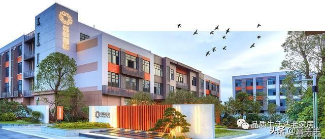 广州公办老人院,广州增城区老人院报价