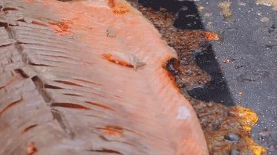 新西兰的美食,新西兰旅游必吃十大美食