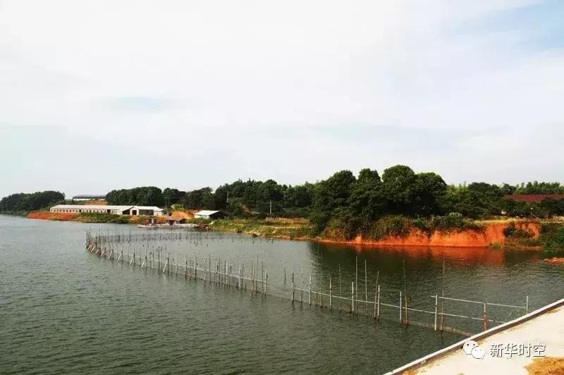 蒋家嘴西洞庭自然保护区,蒋家嘴镇规划