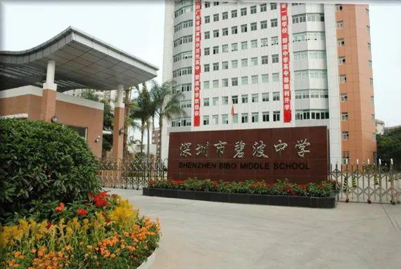 有一种钱买不到的回忆，叫做老深圳