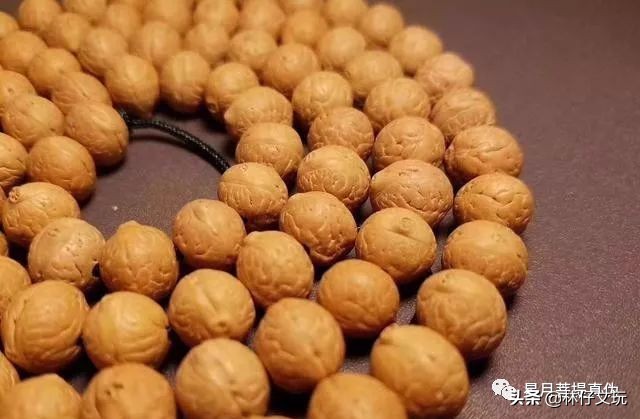 凤眼菩提最全面的讲解长篇,凤眼菩提最全面的讲解