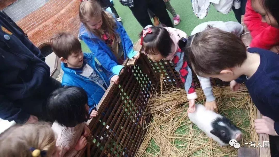 上海浦东有托班的幼儿园,上海全日制双语幼儿园