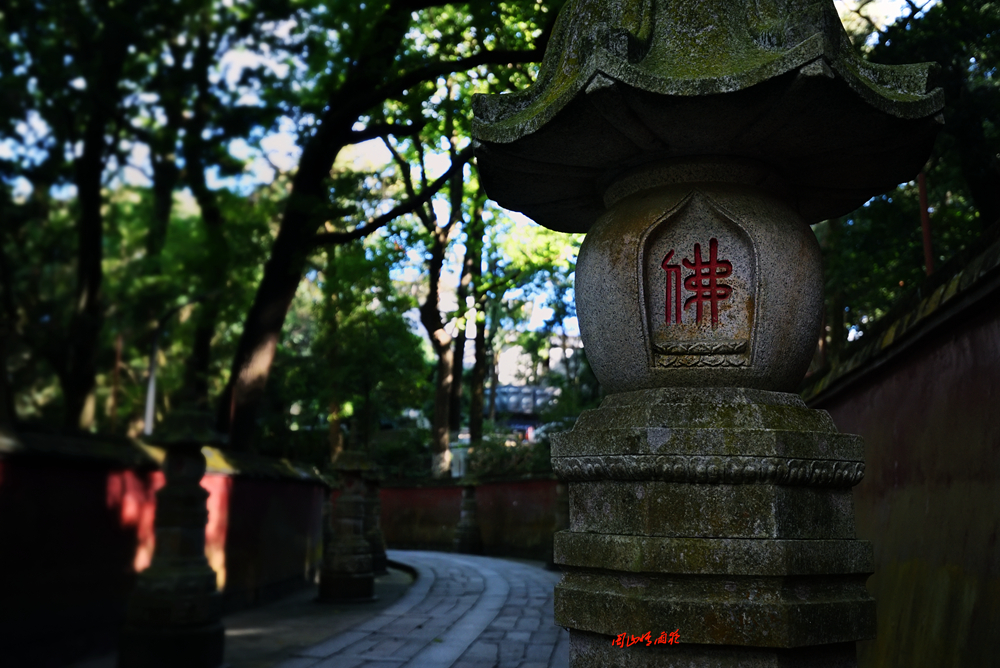 摄影就是记录流逝的时光,摄影捕捉生活的美好瞬间