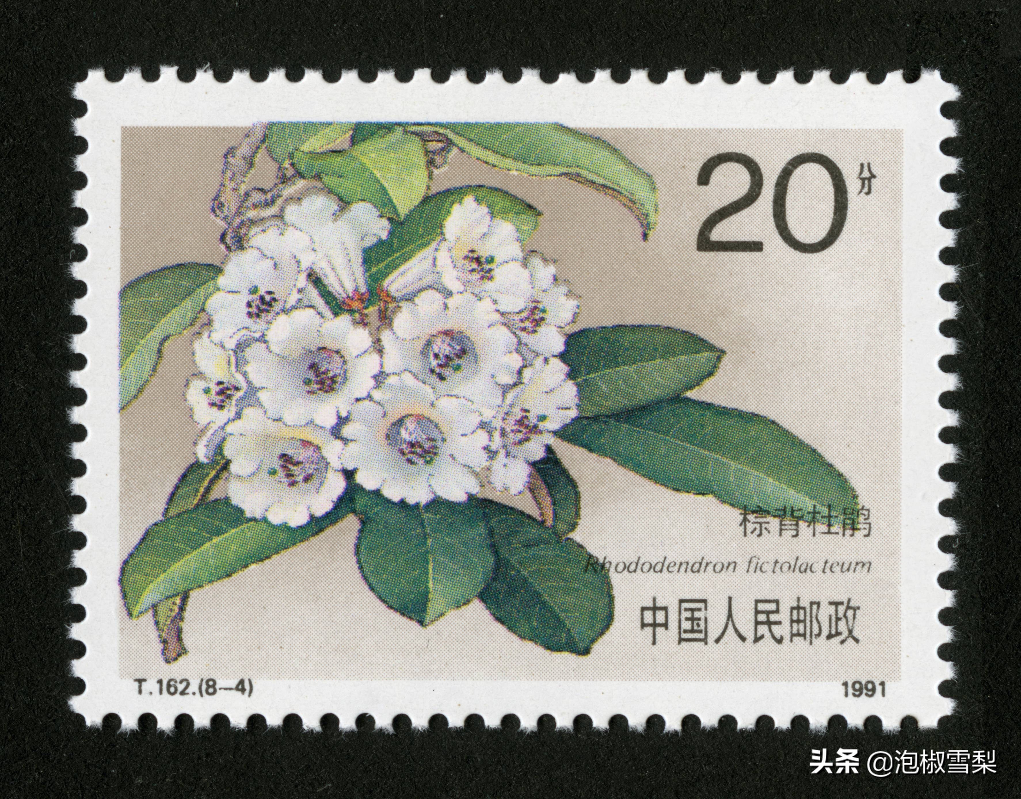 中国1991年发行的全部邮票图片｜陈胜吴广.计划生育.社会主义建设