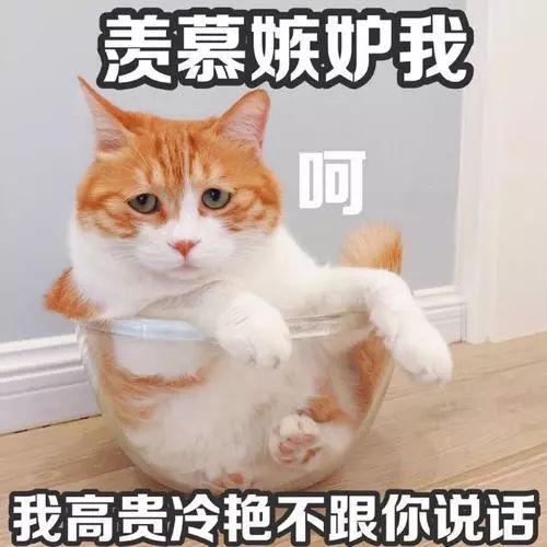 上年立的flag实现了吗,当初立的flag都完成了吗