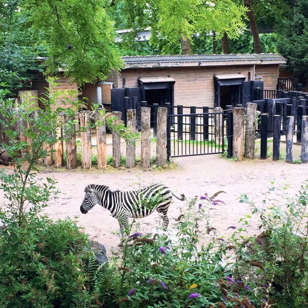 巴黎城市介绍法语,巴黎城市介绍照片