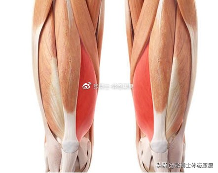 髌股关节疼痛综合征治疗,髌股疼痛综合征如何诊断