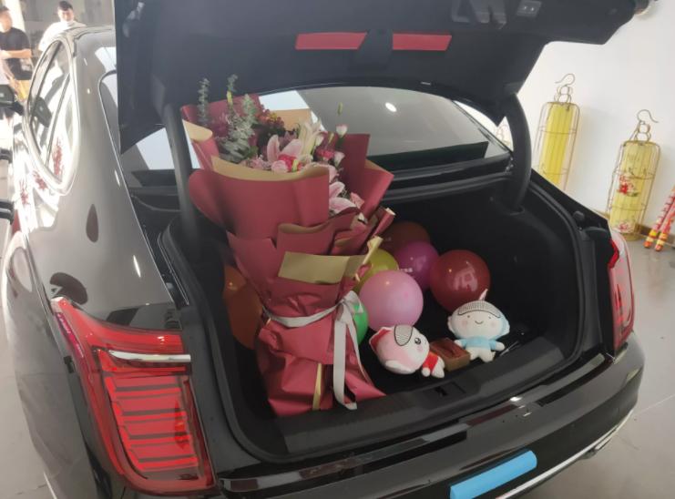 奥迪r8和红旗h9 (红旗h9购车礼)