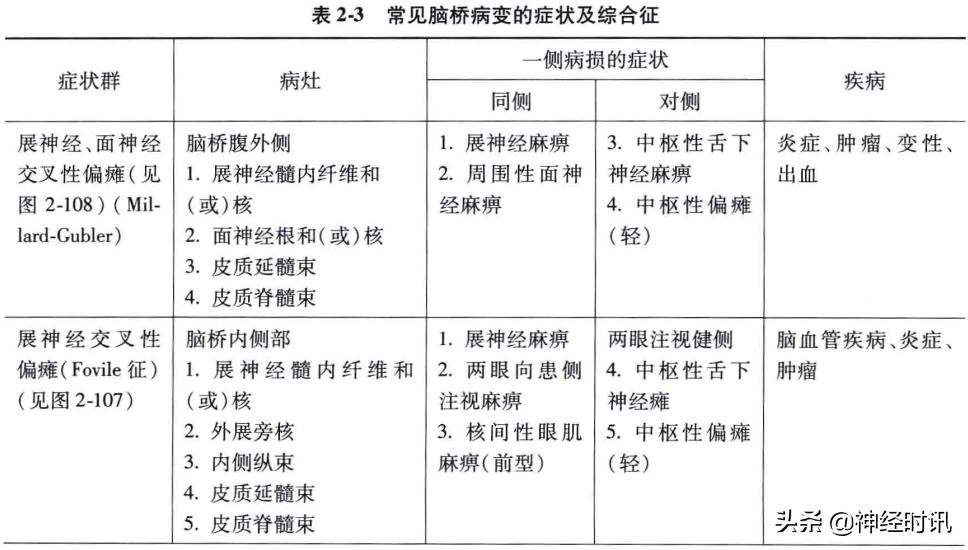 脑干解剖,脑干神经解剖