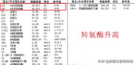 转氨酶高需吃保肝药吗,吃结核药保肝药转氨酶还高怎么办