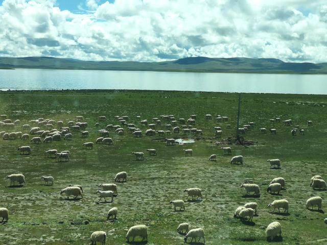 西藏旅游攻略进藏8大线路,走进藏区徒步旅游