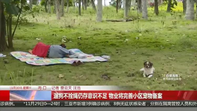 路人遇女子遛狗不拴绳直接报警,女子遛狗不拴绳吓到路人