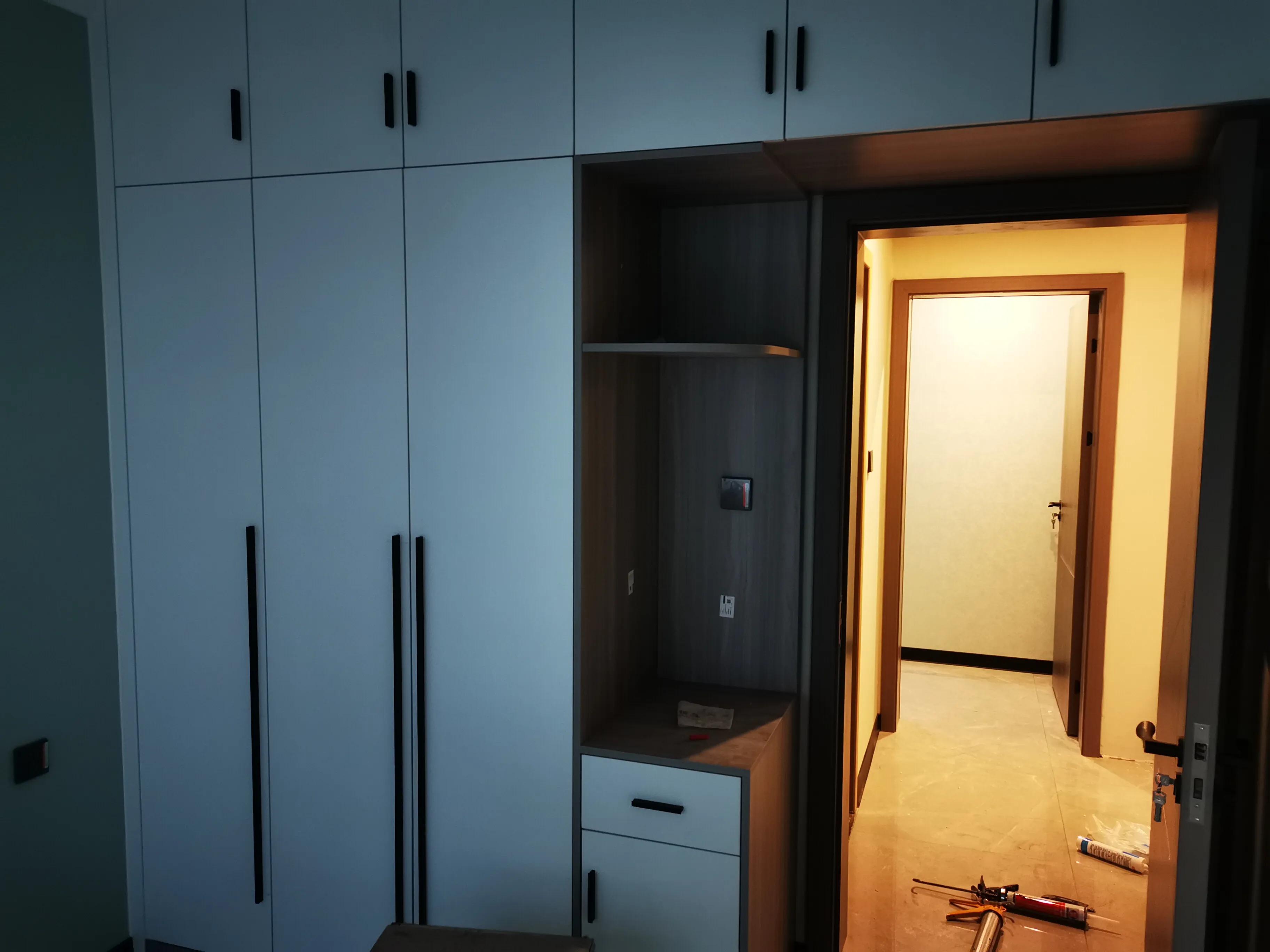 成都定制柜子鲁丽欧松板配PET肤感和高光门安装完工!640元/平方