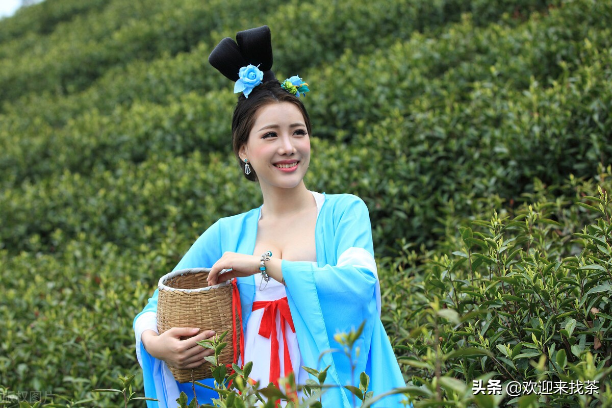 终于明白了，为什么会有这么多的人说网上买茶不靠谱