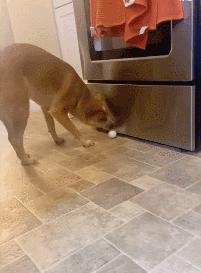 女厕的诡异事件,诡异女厕